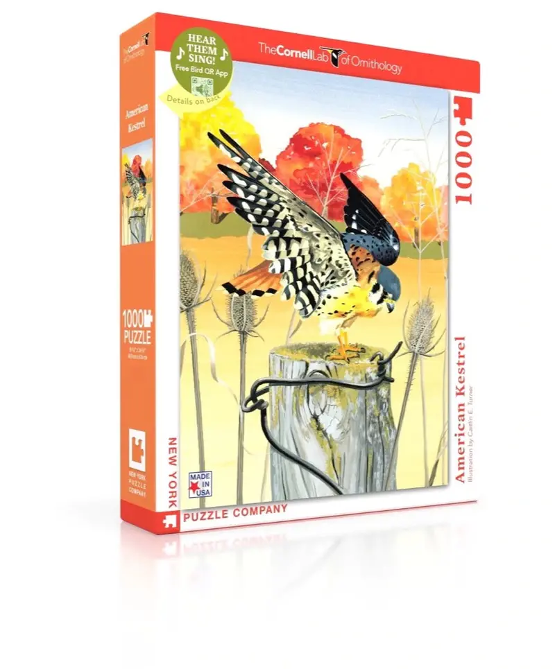 American Kestrel (1000 Piece) Puzzle 1