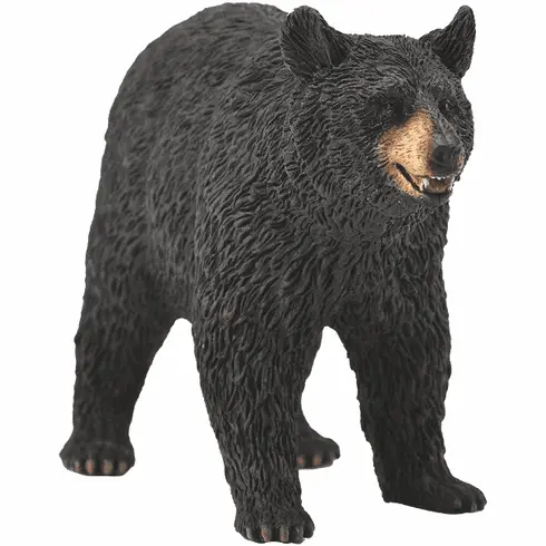 Collecta American Black Bear 1