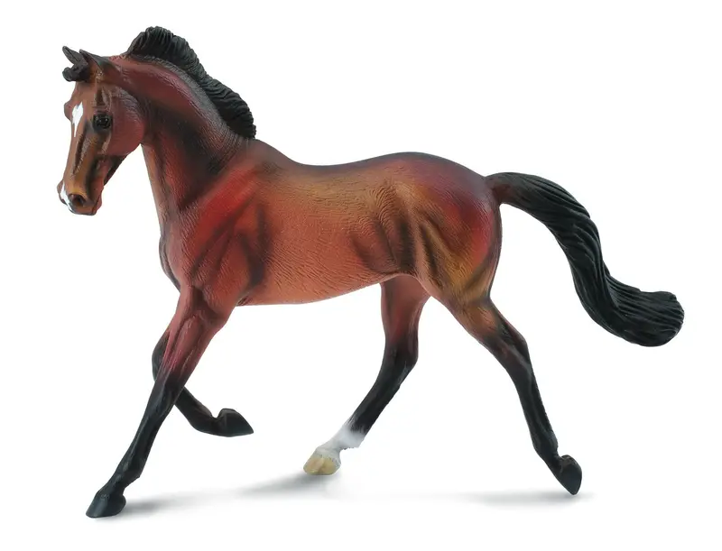 Collecta Thoroughbred Mare Bay 1