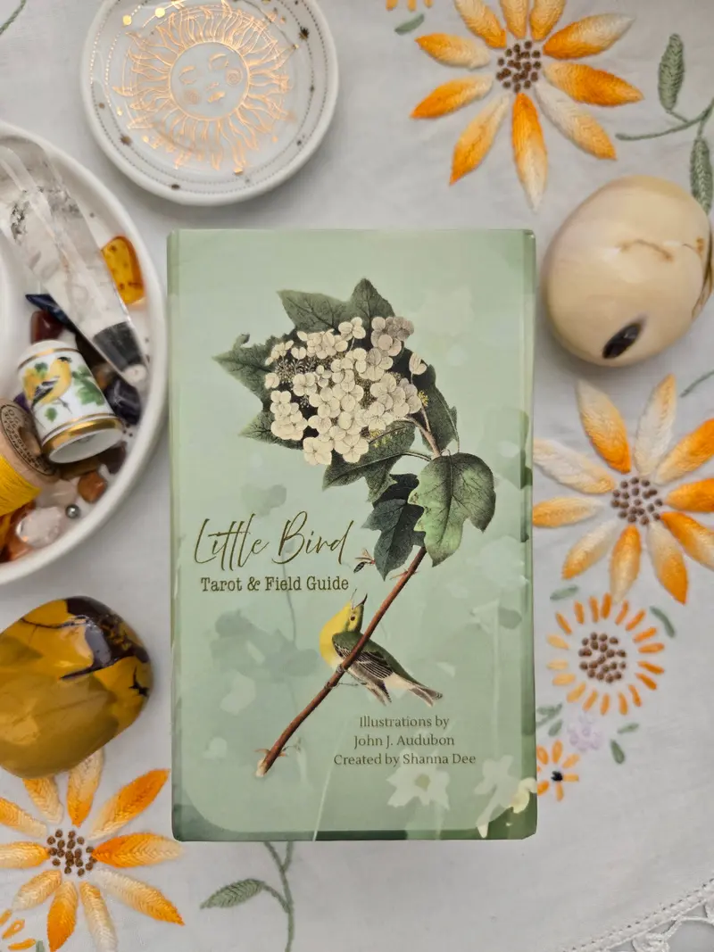 Little Bird Tarot & Field Guide 2Nd Edition 1