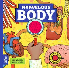 Marvelous Body Book 1