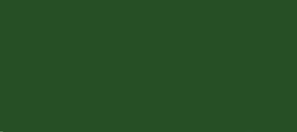 Scalecoat Ii Railroad Paint - 2Oz 59.1Ml -- Reading Green 1