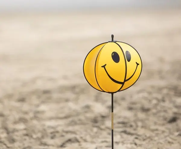 Smiley Ball Spinner 1